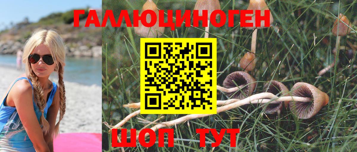 Псилоцибиновые грибы Magic Shrooms  Вход с VPN  Псилоцибиновые грибы GOLDEN TEACHER  наркошоп  Нерюнгри 