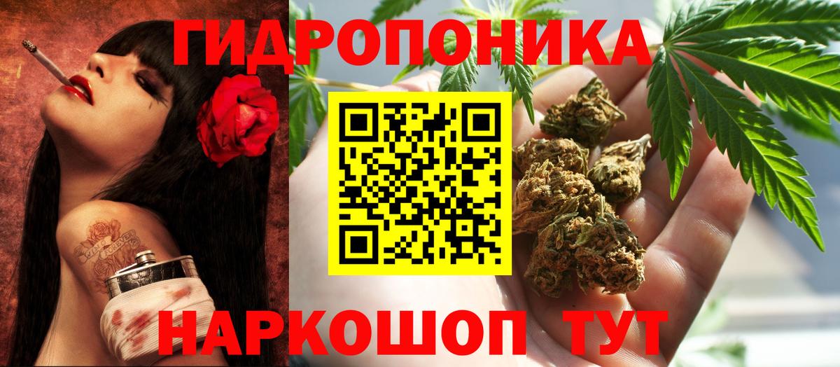 Бошки марихуана план Нерюнгри